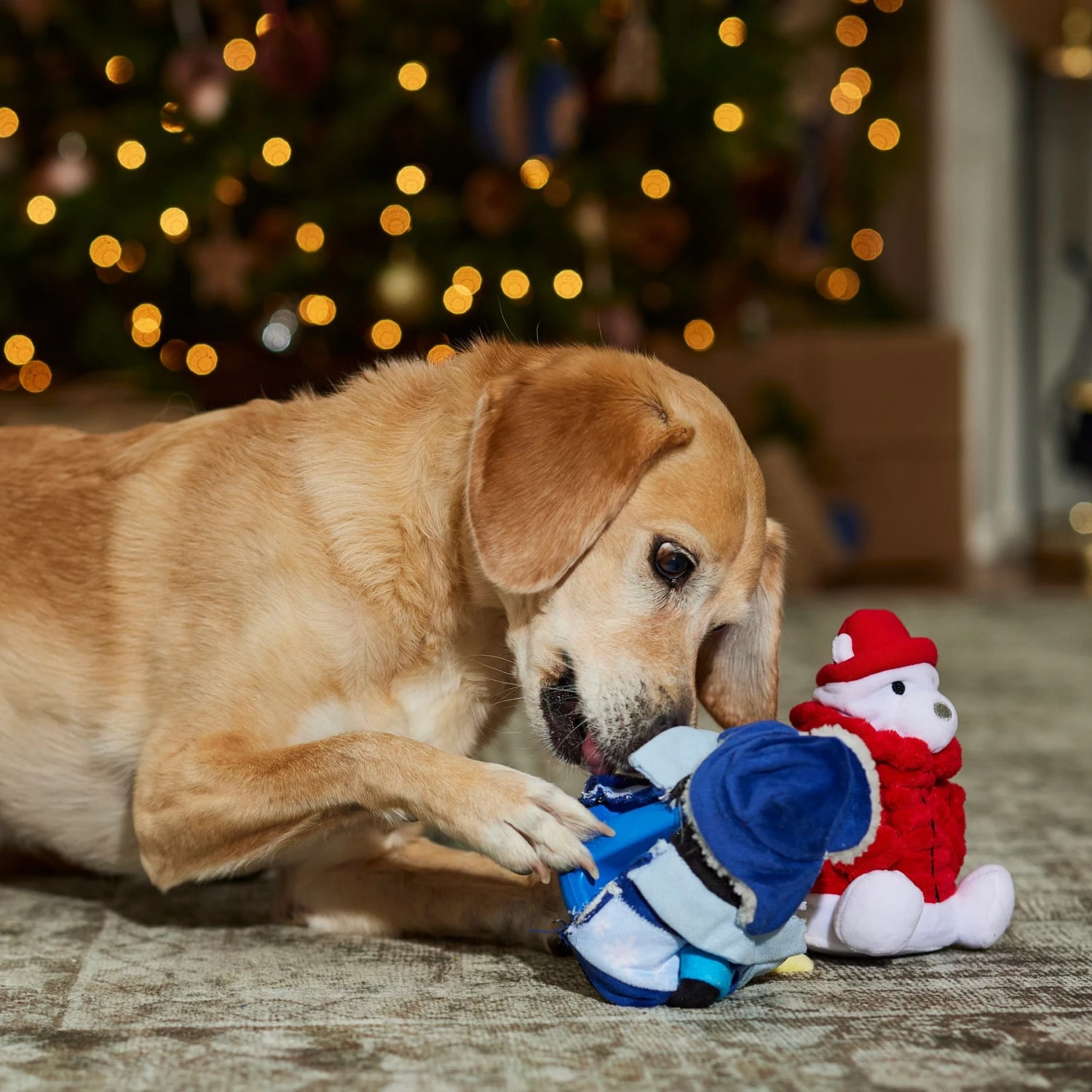 Frisco Holiday Arctic Buddies 2-in-1 Rip For Surprise Plush & Rubber Dog Toy 6 Frisco Holiday Arctic Buddies 2-in-1 Rip For Surprise Plush & Rubber Dog Toy - Image 4