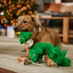 Frisco Holiday Elf In A Tree Bungee Plush Squeaky Dog Toy 11 Frisco Holiday Elf In A Tree Bungee Plush Squeaky Dog Toy -Frisco 739846 PT3. AC SS1800 V1695047600