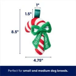 Frisco Holiday My First Christmas Candy Cane Plush Squeaky Puppy Toy 8 Frisco Holiday My First Christmas Candy Cane Plush Squeaky Puppy Toy -Frisco 739942 PT1. AC SS1800 V1695043437