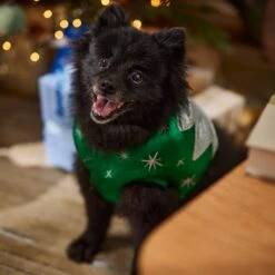 Frisco Ornament Dog & Cat Costume 16 Frisco Ornament Dog & Cat Costume -Frisco 745510 PT7. AC SS1800 V1694795535