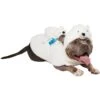 Frisco Polar Bear Ride-On Dog Costume -Frisco 747046 MAIN. AC SS1800 V1694813783