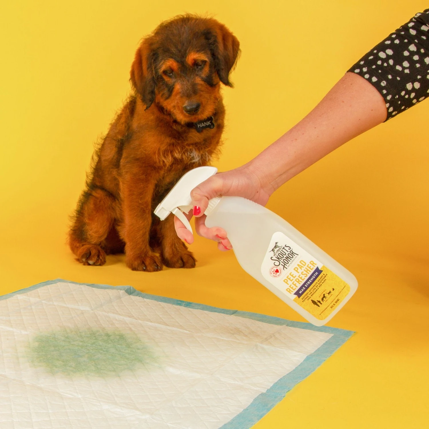 Skout's Honor Dog Pee Pad Refresher Spray, 28-oz Bottle & Frisco Washable Dog Potty Pads 7 Skout's Honor Dog Pee Pad Refresher Spray, 28-oz Bottle & Frisco Washable Dog Potty Pads - Image 5