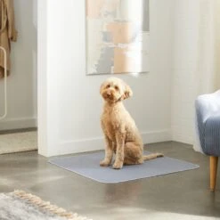 Skout's Honor Dog Pee Pad Refresher Spray, 28-oz Bottle & Frisco Washable Dog Potty Pads 19 Skout's Honor Dog Pee Pad Refresher Spray, 28-oz Bottle & Frisco Washable Dog Potty Pads -Frisco 772958 PT8. AC SS1800 V1676752183