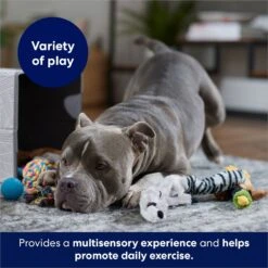 Frisco Forest Friends Plush, Rope & TPR Variety Pack Dog Toy 10 Frisco Forest Friends Plush, Rope & TPR Variety Pack Dog Toy -Frisco 843534 PT3. AC SS1800 V1693411070