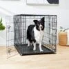 Frisco Fold & Carry Double Door Collapsible Wire Dog Crate 1 Frisco Fold & Carry Double Door Collapsible Wire Dog Crate -Frisco 88789 MAIN. AC SS1800 V1623171761