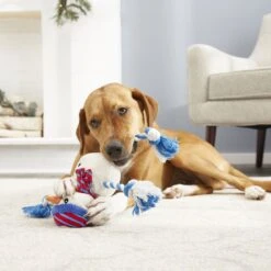 Frisco Holiday Snowman Plush With Rope Squeaky Dog Toy & Frisco Holiday Reindeer Plush With Rope Squeaky Dog Toy 15 Frisco Holiday Snowman Plush With Rope Squeaky Dog Toy & Frisco Holiday Reindeer Plush With Rope Squeaky Dog Toy -Frisco 986174 PT4. AC SS1800 V1698258345