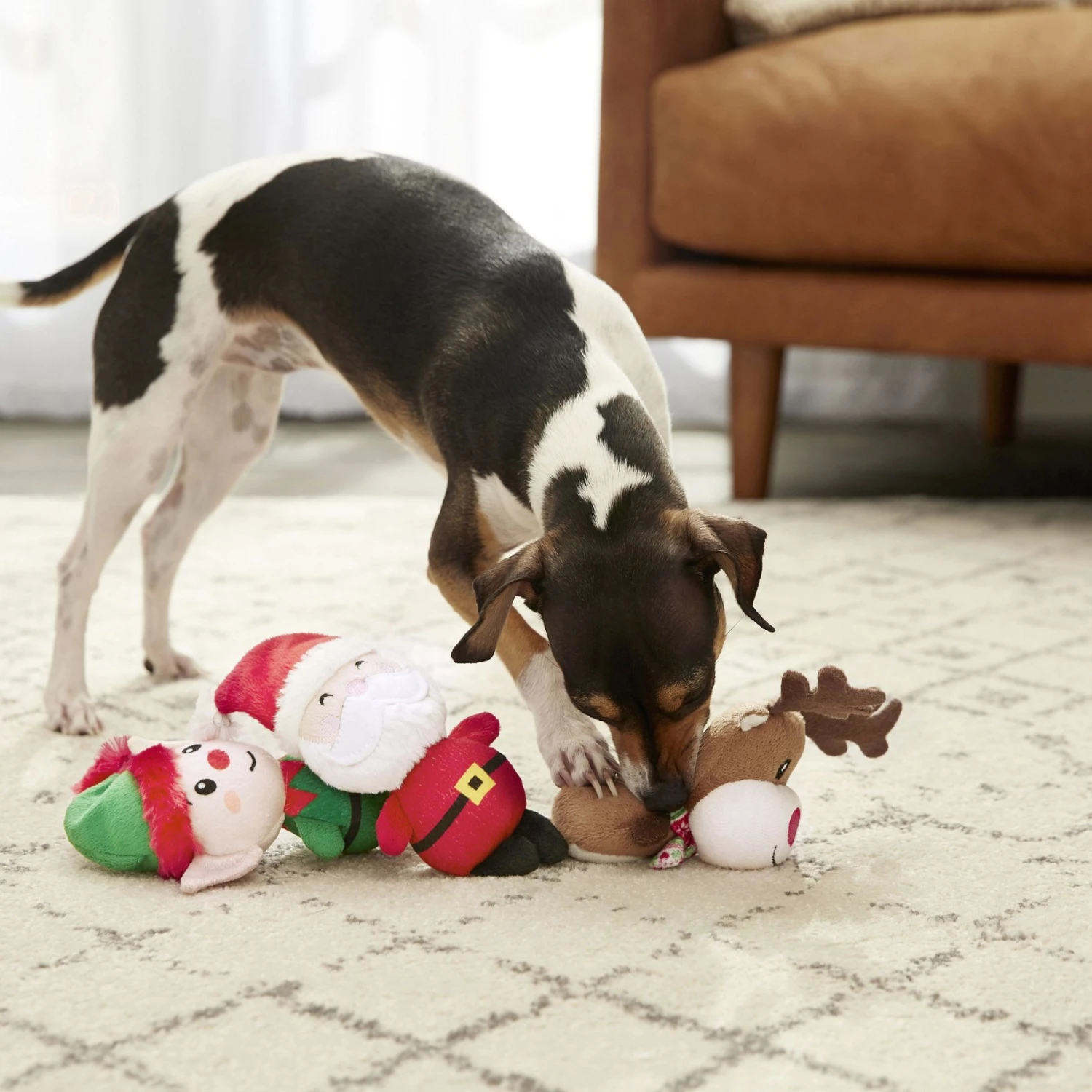 Frisco Holiday Santa's Helpers Plush Squeaky Dog Toy, 3 Count & Frisco Holiday Lights Plush With Rope Squeaky Dog Toy 6 Frisco Holiday Santa's Helpers Plush Squeaky Dog Toy, 3 Count & Frisco Holiday Lights Plush With Rope Squeaky Dog Toy - Image 4