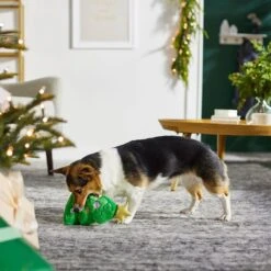 Frisco Holiday Santa's Helpers Plush Squeaky Dog Toy, 3 Count & Frisco Holiday Tree Thin Plush Squeaky Dog Toy 12 Frisco Holiday Santa's Helpers Plush Squeaky Dog Toy, 3 Count & Frisco Holiday Tree Thin Plush Squeaky Dog Toy -Frisco 986222 PT8. AC SS1800 V1698257791